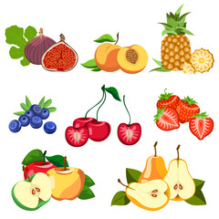 Set of fruits and berries.