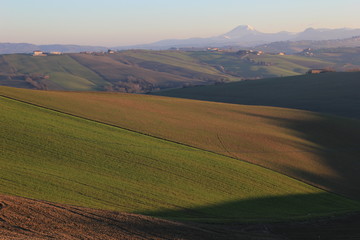 campagna marchigiana