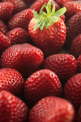 Fragole