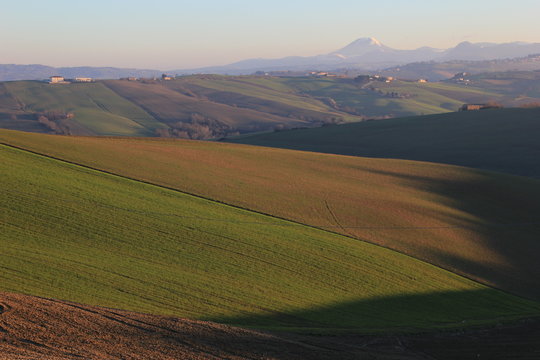 campagna marchigiana