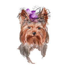dog illustration. Yorkie. isolated. watercolor