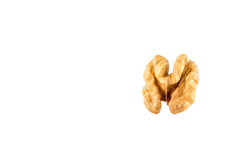 Walnut macro closeup,  close up isolated on white background