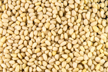 pine nuts background