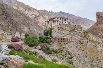 Fototapeta na wymiar Solitary buddhist monastery, white painted building with red roof, located in rocky desert, surrounded by high mountain peaks, with few lush green rose shrubs blooming in spring, Zanskar region, India