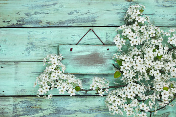 Blank wood sign with spring flowering blossoms hanging on rustic background