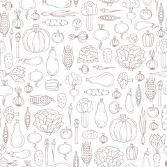 Vector seamless pattern with hand drawn isolated vegetables on white color