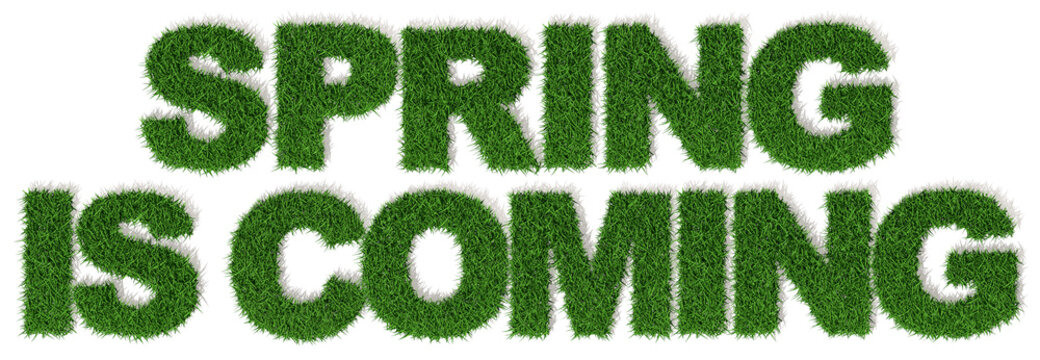 Primavera sta arrivando, spring is coming, 3d prato erba verde, sfondo bianco