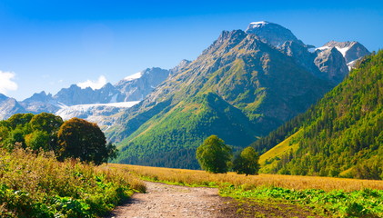 Fototapeta premium Mountain day summer
