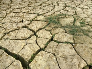  The Land with dry and cracked ground 
