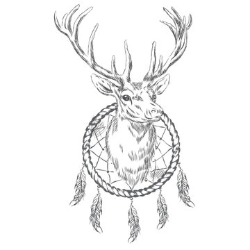 Deer and Dreamcatcher. Vector illustration.