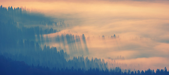 Fototapeta premium Misty valley