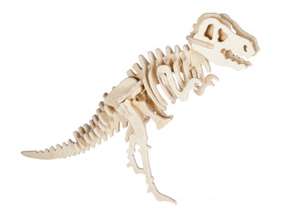 Toy dinosaur skeleton
