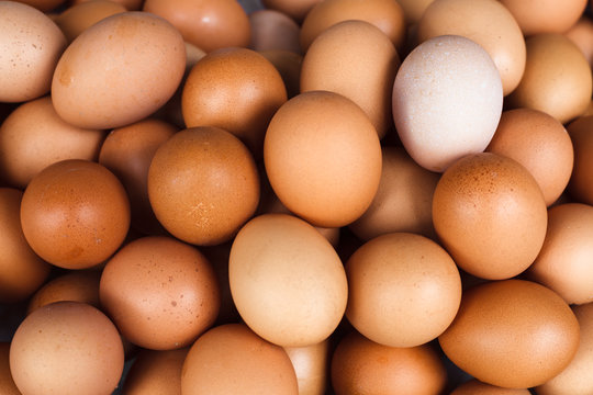 Background of fresh domestic eggs. Organic food.