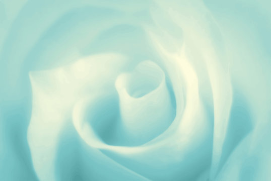 Pure Soft Background With Turquoise Rose. Vector