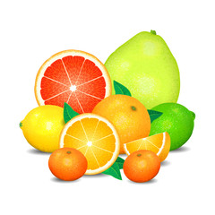 Fruit of citrus, set of citrus fruit. Citrus fruits