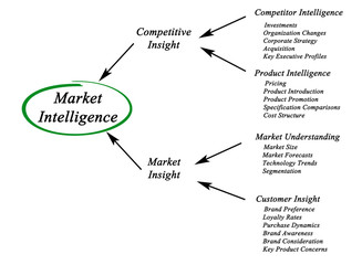 Diagram of Market Intelligence..