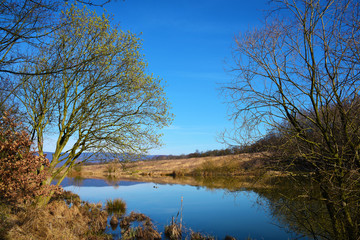Obraz premium Pond on hill