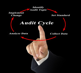 Diagram of Audit Cycle