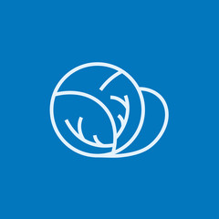 Cabbage line icon 