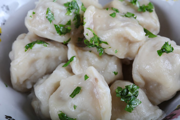 Russian dumplings