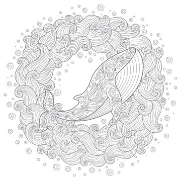 Hand drawn whale in the waves for antistress Coloring Page