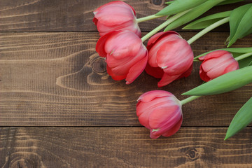 Tulips on a wooden board. Flowers background.