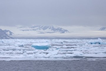 Drifting ice at Barents Sea, north of Svalbard area, Arctic. © Johannes Jensås
