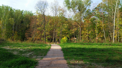 Park alley / The road in the city park in Moscow