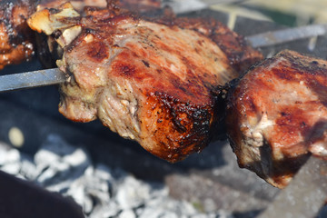 Juicy grilled meats and barbecue at the picnic
