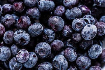 frozen blueberrys, full frame background with details