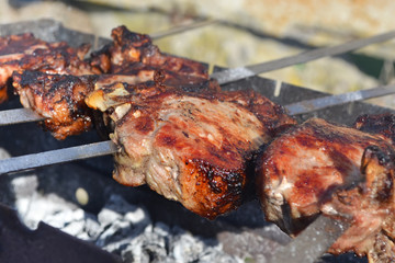 Juicy grilled meats and barbecue at the picnic