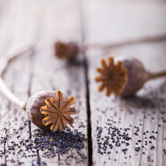 Poppy seeds and poppy heads on a wooden tabl.selective focus.close up.selective focus.