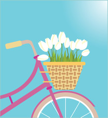 Bicycle basket with tulip flowers