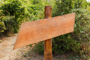 Clear wooden pointer on natural background. Place for your text.