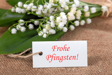Frohe Pfingsten!