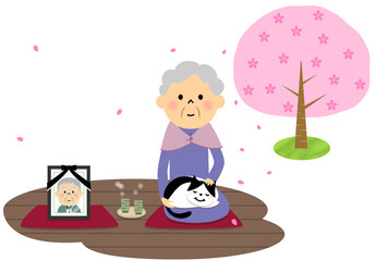 シニア おばあちゃんと猫 縁側