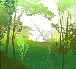Wild panoramic landscape with sunny forest, silhouettes of trees and grass