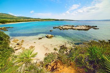 small cove with rocks and plants