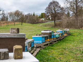 Bienenk&auml;sten im Herbst