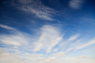 Sky daylight.