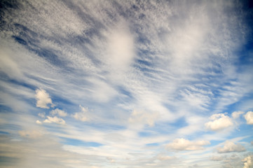 Sky daylight.