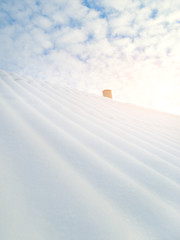 roofs covered by snow