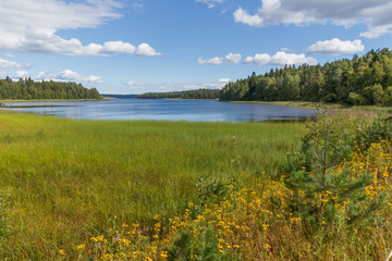 Summer landscape in the skerries of Lake Ladoga. Koyonsaari Island, Turvey Bay