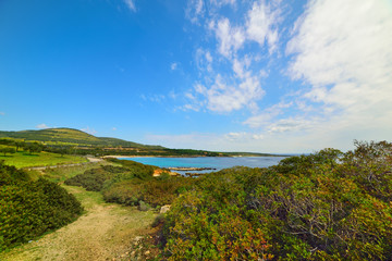 Fototapeta na wymiar green vegetation and blue sea in Alghero