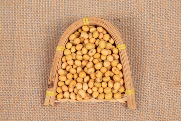 soybean