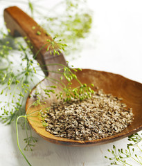 Fennel seeds in big wooden spoon and fresh flowers of dill