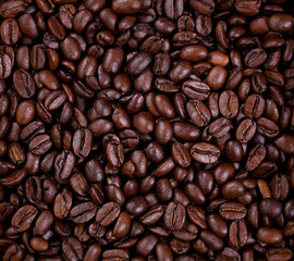 Fototapeta premium Świeżo palone ziarna kawy w układzie ramek wypełnionych