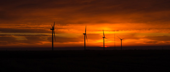 Bright Orange Sunrise Signal Peak Wind Turbines Washington Green
