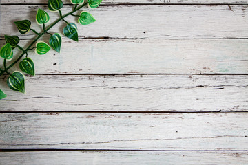 Fototapeta premium flowers on wooden background