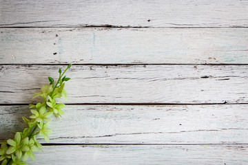 flowers on wooden background